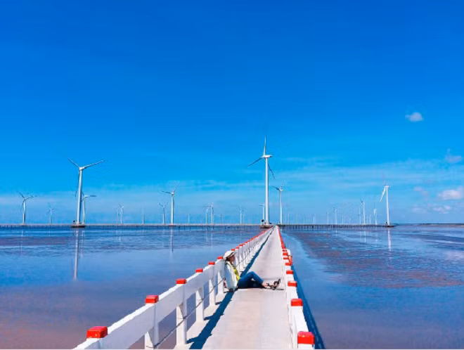 Với tất cả 62 cột tháp và turbine điện gió đều được đặt trên biển, nơi đây trở thành cánh đồng quạt gió có quy mô lớn nhất Việt Nam.