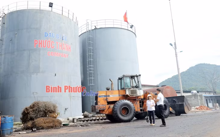 Anh Bùi Hữu Phước, Giám đốc Công ty TNHH chế biến nông sản Phước Thành, thị xã Phước Long trao đổi với phóng viên - Ảnh: Trương Hiện