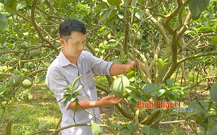Mỗi HTX nông nghiệp đều mong muốn có đầu ra ổn định cho sản phẩm của các thành viên