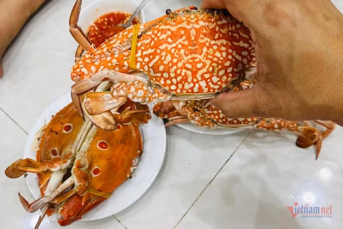 Nhiều loại hải sản có thể bị nhiễm độc từ môi trường. Ảnh: Phương Anh