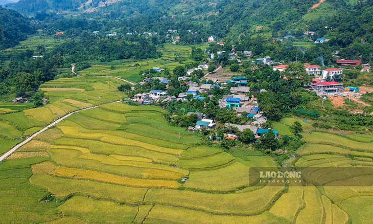 Mường Vi nằm cách trung tâm huyện Bát Xát (Lào Cai) hơn 20km, được bao bọc xung quanh là những dãy núi đá vôi trùng điệp. Nơi đây không chỉ hùng vĩ mà còn được thiên nhiên ưu ái ban tặng sản vật nổi tiếng - gạo Séng Cù.