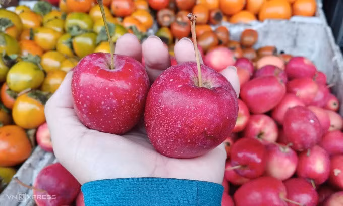 Táo cherry được bán tại cửa hàng hoa quả trên đường Phạm Văn Chiêu (Gò Vấp, TP HCM). Ảnh: Thi Hà