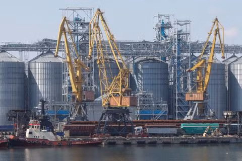 Hoạt động xuất khẩu ngũ cốc của Ukraine tại cảng biển ở Odesa ngày 19/8/2022. Ảnh: Reuters
