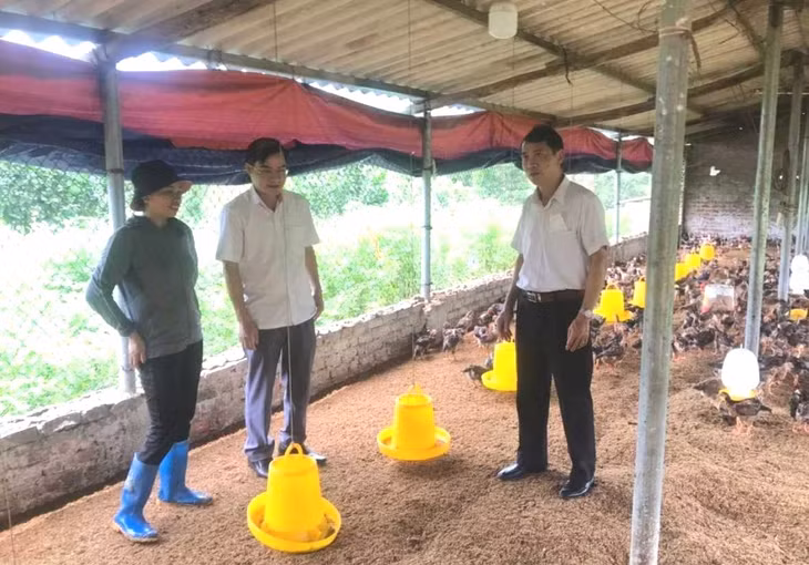 Lãnh đạo HND tỉnh tham quan, trao đổi với hội viên, nông dân Đầm Hà về môi hình nuôi gà thương phẩm.