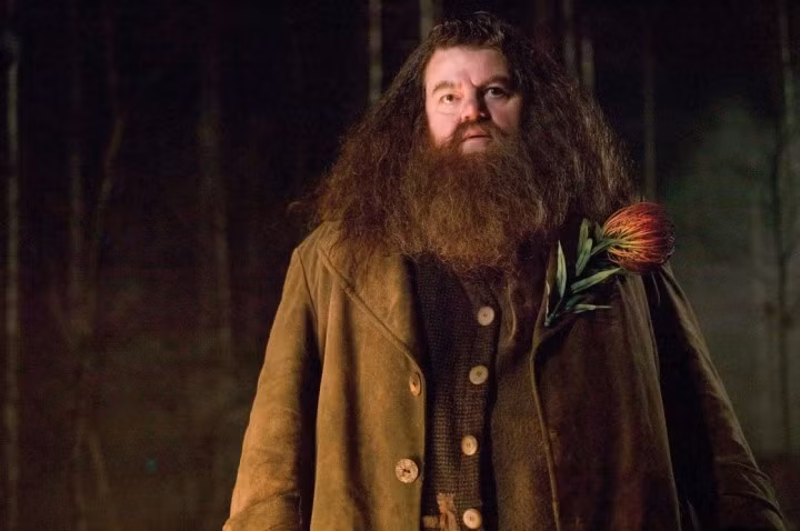 Diễn viên Robbie Coltrane qua đời ở tuổi 72. (Ảnh: NBC News)