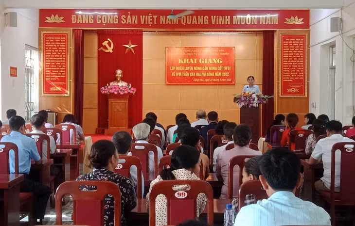 Hội viên nông dân TX Quảng Yên tham gia tập huấn kỹ thuật quy trình quản lý dịch hại trên rau vụ đông, tháng 9/2022. Ảnh: Thùy Dương (Trung tâm TT-VH Quảng Yên)