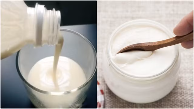 Sữa và sữa chua rất giàu protein và các chất dinh dưỡng có lợi cho người bệnh.