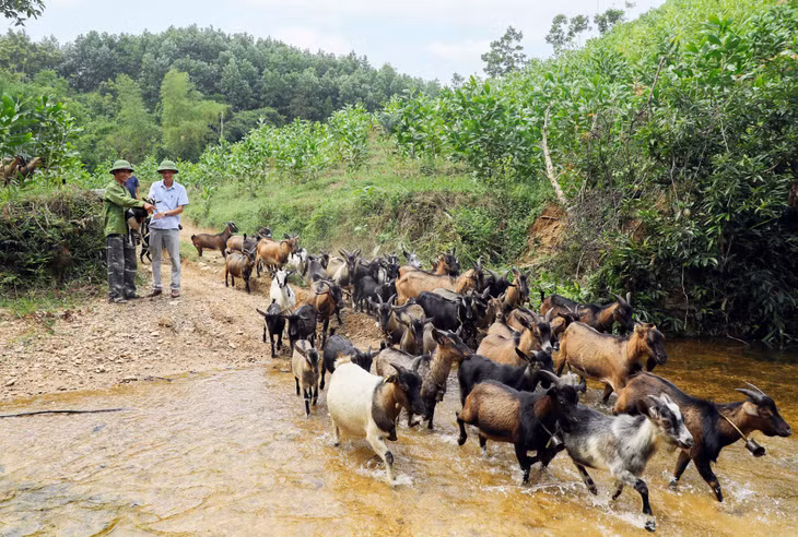 Là xã vùng cao biên giới của thành phố Móng Cái với gần 90% là đồng bào dân tộc thiểu số nhưng Bắc Sơn đã nỗ lực vượt khó, hoàn thành xây dựng nông thôn mới kiểu mẫu năm 2021.