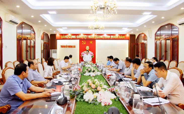 Thường trực Thành uỷ Móng Cái họp giao ban thường kỳ tháng 8/2022.