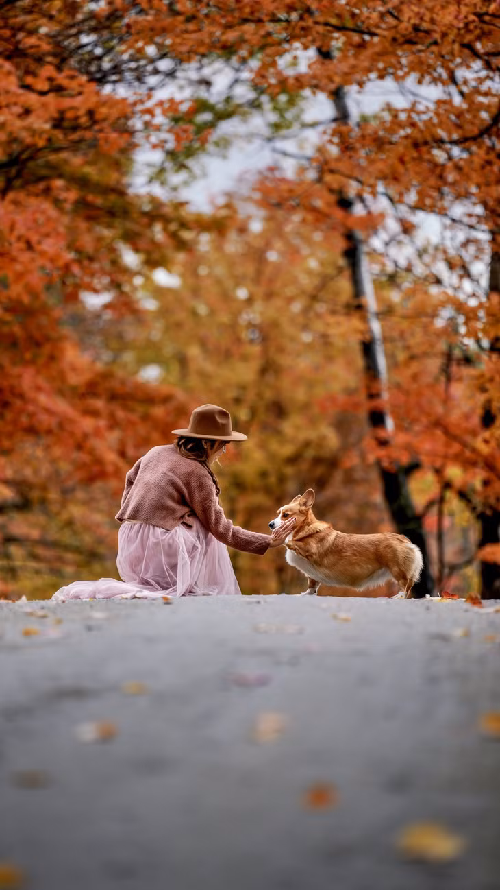 Mùa lá đỏ ở Mỹ ảnh 5