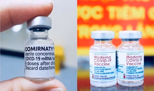 Thêm 1,5 triệu liều vaccine COVID-19 Pfizer và Moderna tiêm cho trẻ từ 5 - dưới 12 tuổi về Việt Nam.