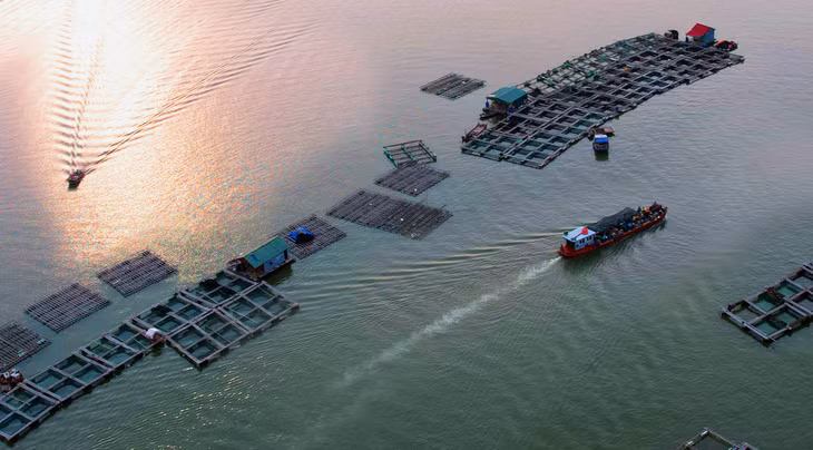 Chiều bến Giang... Ảnh: Vũ Tiến Dũng.