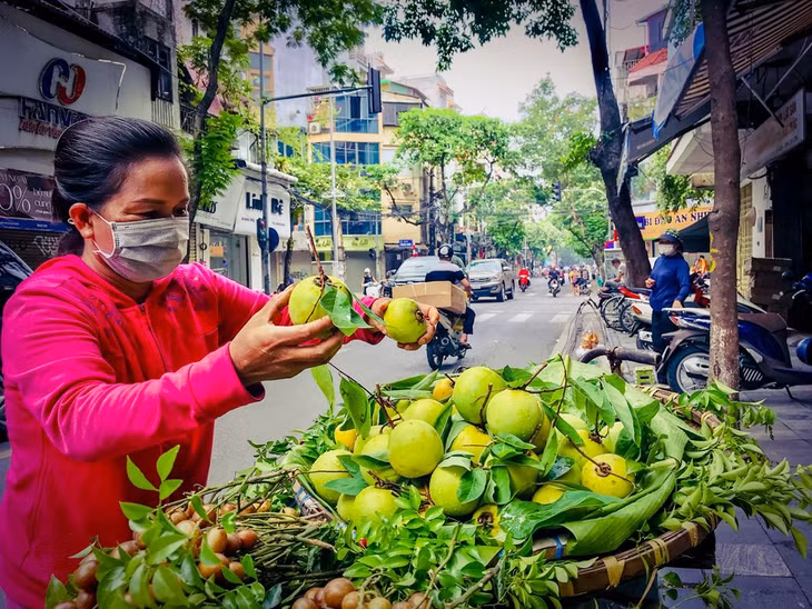 Những mẹt thị vàng theo chân người kéo mùa thu vào phố. Những chợ cóc, chợ lớn, những xe rong vẫn có đầy các mẹt thị thơm lừng. Ảnh: Đức Hạnh/BNEWS/TTXVN