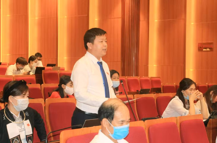 Đại biểu Đào Biên Thùy, Tổ đại biểu Đầm Hà, phát biểu.
