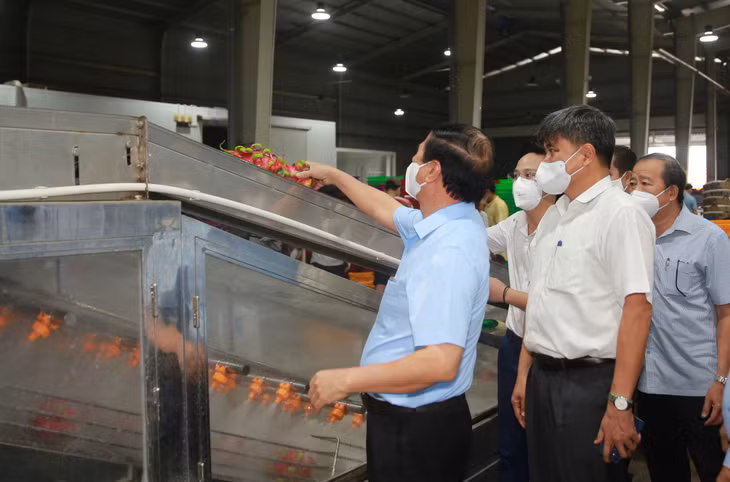 Phó Thủ tướng kiểm tra điểm thu mua, chế biến nông sản của Long An - Ảnh VGP/Đức Tuân