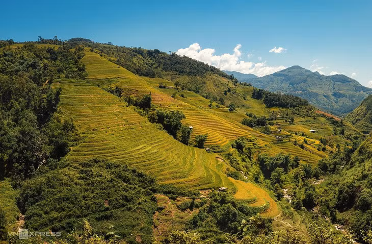 Mùa lúa chín vùng cao trong ấn tượng người làm du lịch ảnh 9 Mùa lúa chín vùng cao trong ấn tượng người làm du lịch ảnh 9