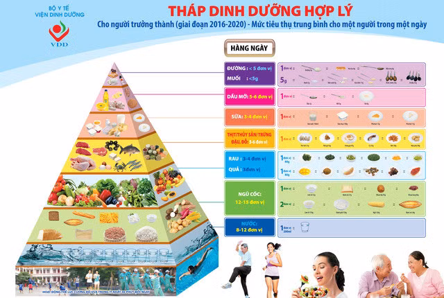 Tháp dinh dưỡng hợp lý cho người trưởng thàn