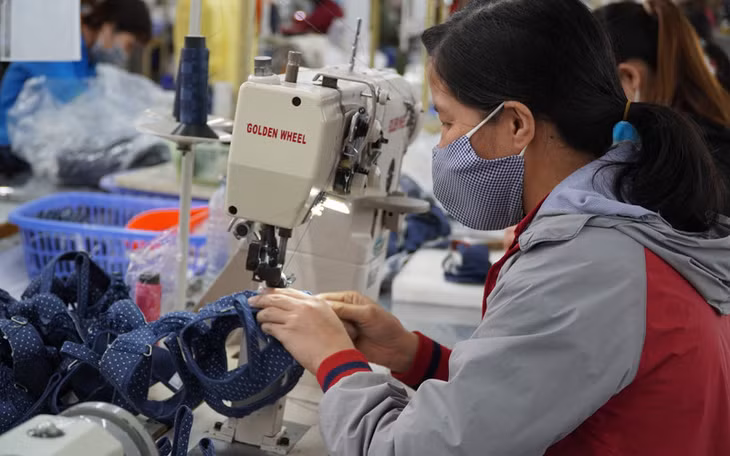 99% kim ngạch xuất khẩu giày dép của Việt Nam sang EU đều được hưởng ưu đãi từ hiệp định.