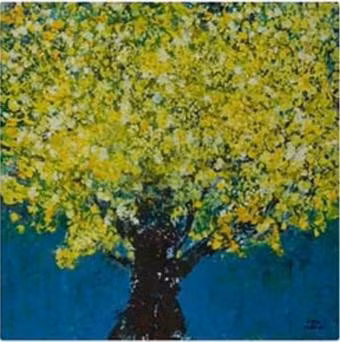 Xèo Chu - 'thần đồng' làm từ thiện ảnh 1