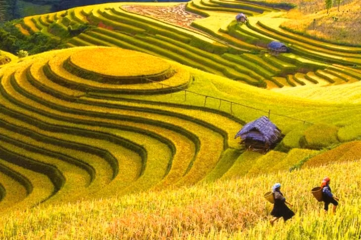 Ảnh minh họa Ảnh minh họa