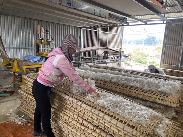 Bình Liêu duy trì phát triển sản phẩm OCOP Miến dong Bình Liêu. 