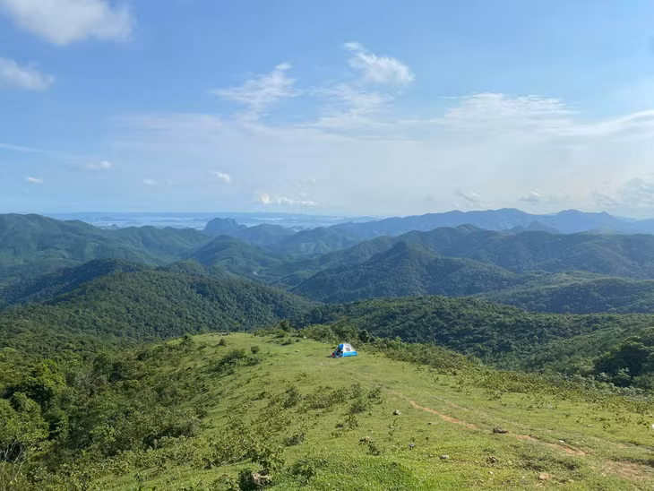 Vinpearl Safari Hạ Long có quy mô khoảng 1.135ha, nằm trong ranh giới Khu bảo tồn thiên nhiên Đồng Sơn - Kỳ Thượng.