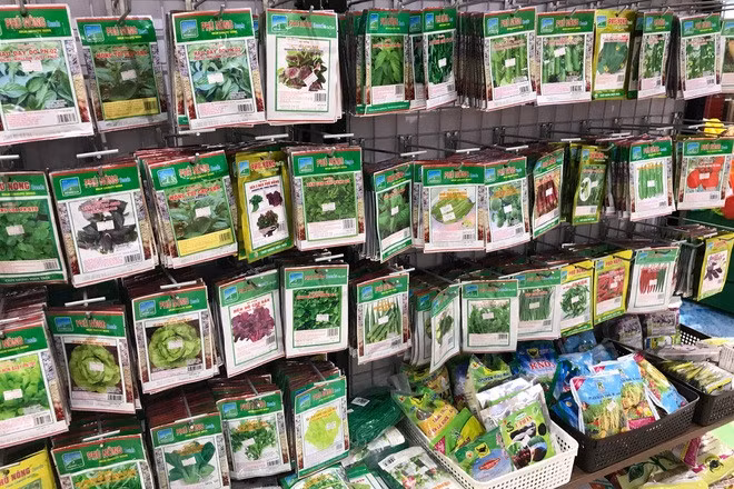 Các loại hạt giống rau đa dạng, phong phú.