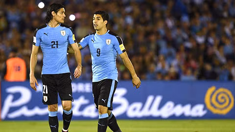 ĐT Uruguay mất cả Cavani lẫn Suarez ở vòng loại World Cup ảnh 1