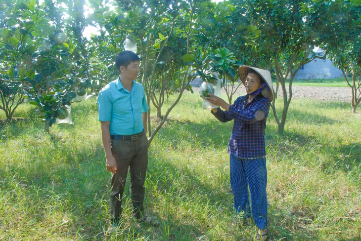 Cán bộ xã Quảng Minh (huyện Hải Hà) nắm bắt tình hình sản xuất của hộ nông dân địa phương.