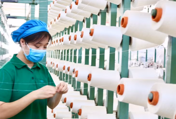 Sản xuất sợi vải dệt kim tại Công ty TNHH Đại Đông Việt Nam. Ảnh: Mạnh Trường