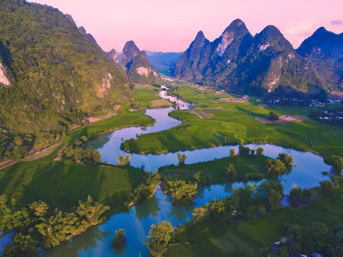 Những cánh đồng lúa ở Phong Nậm, gần nơi Quốc ở 2 tháng nay.