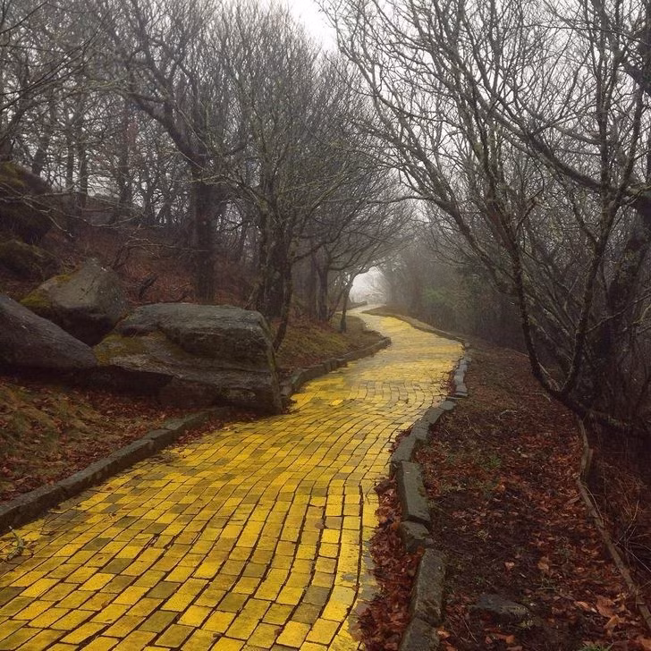 Đường gạch vàng trong công viên giải trí 'Land of Oz' hoang vắng, Bắc Carolina, Mỹ.