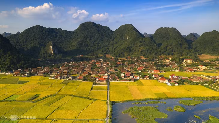 Mùa lúa chín vùng cao trong ấn tượng người làm du lịch ảnh 2 Mùa lúa chín vùng cao trong ấn tượng người làm du lịch ảnh 2