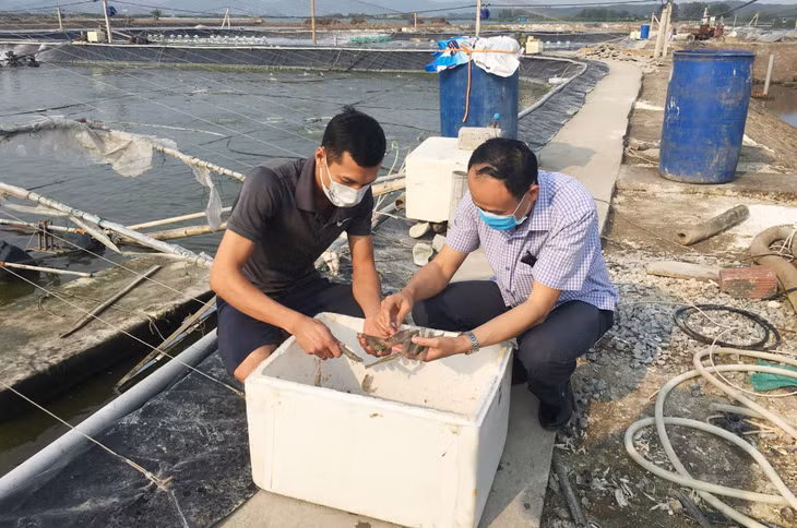 Nhờ vốn tín dụng chính sách, nhiều hộ dân đã mạnh dạn đầu tư phát triển sản xuất, nâng cao thu nhập, vươn lên làm giàu. Trong ảnh: Đầm nuôi của anh Doãn Bình Vinh, phường Tân An, TX Quảng Yên.