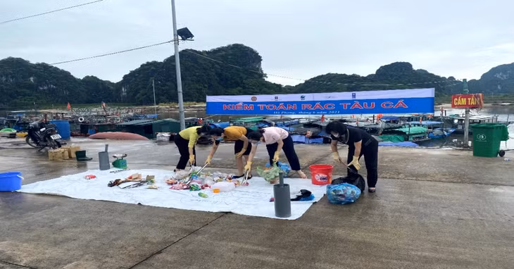 Hội Nghề cá tỉnh đã phối hợp các tổ chức đoàn thể tổ chức kiểm toán rác thải tại các tàu cá và bến cá Hà Phong (phường Hà Phong, TP Hạ Long) nhằm nâng cao ý thức của các ngư dân trong bảo vệ môi trường biển.