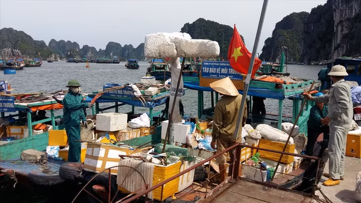 Mỗi ngày Công ty CP Thương mại Phúc Thành thu gom khoảng 2 tấn rác thải ở khu ven bờ Vịnh Hạ Long.