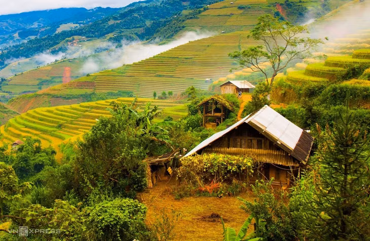 Mùa lúa chín vùng cao trong ấn tượng người làm du lịch ảnh 5 Mùa lúa chín vùng cao trong ấn tượng người làm du lịch ảnh 5