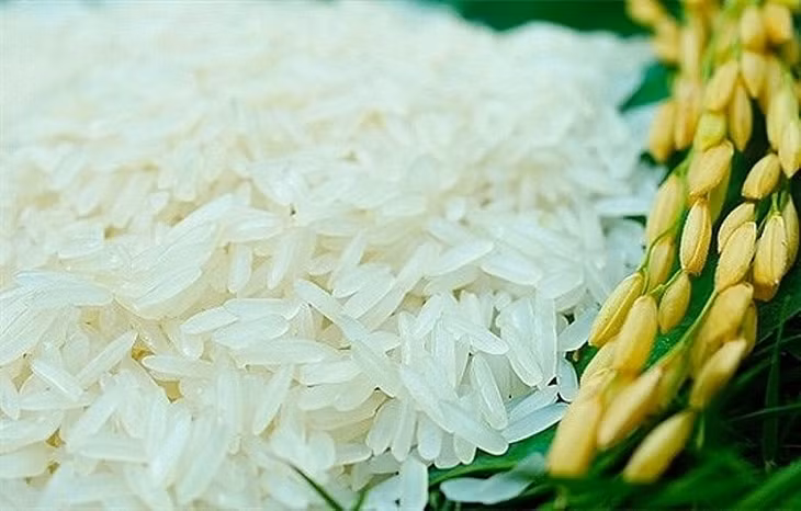 Giá lúa gạo hôm nay 13/8: Giá lúa đi ngang Giá lúa gạo hôm nay 13/8: Giá lúa đi ngang