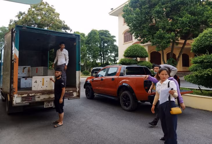 Na Đông Triều được vận chuyển cho các cơ quan, đơn vị, người dân trên địa bàn TP Móng Cái thông qua kênh tiêu thụ của HND TX Đông Triều.