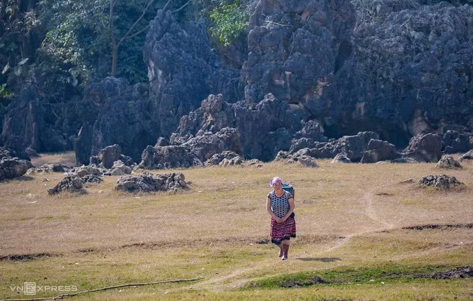 Hang Táu 'nguyên thủy' ở Mộc Châu ảnh 7