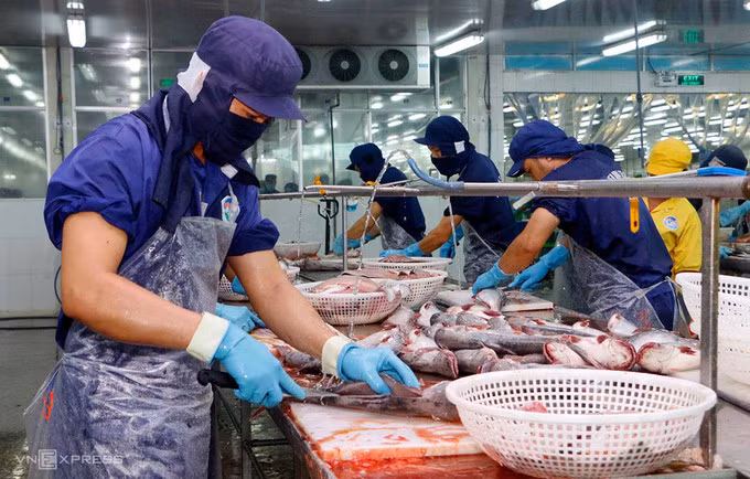 Công nhân nhà máy chế biến cá tra. Ảnh: Cửu Long.