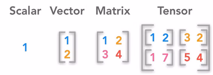 scalar-vector-matrix-tensor.jpg