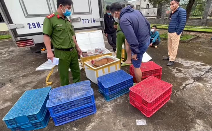 Cơ quan Công an kiểm tra số động vật hoang dã và hộp pháo trên ôtô BKS 29H-771.76.