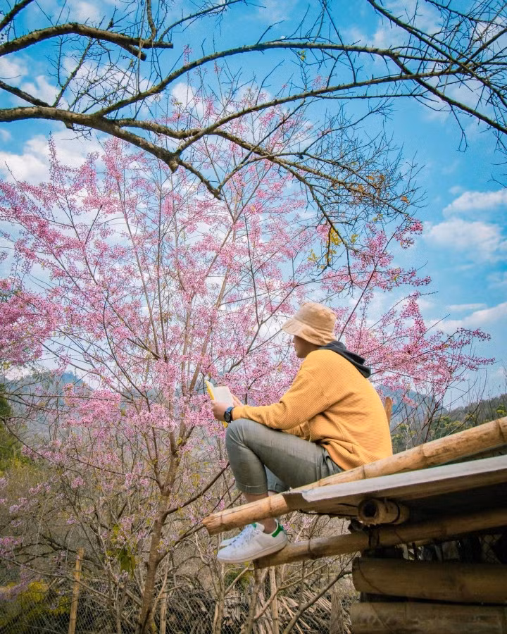 (Ảnh: Bùi Ngọc Công)