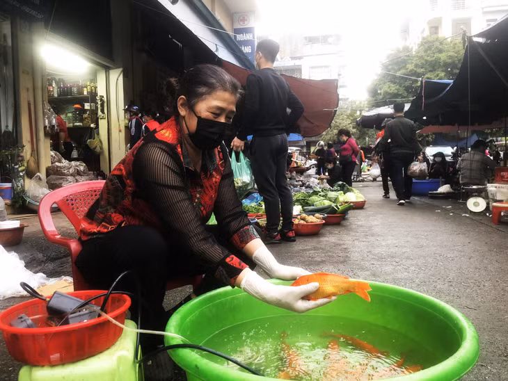 Đặc biệt, cá chép là một trong những "phương tiện" không thể thiếu được người dân lựa chọn trong ngày này.