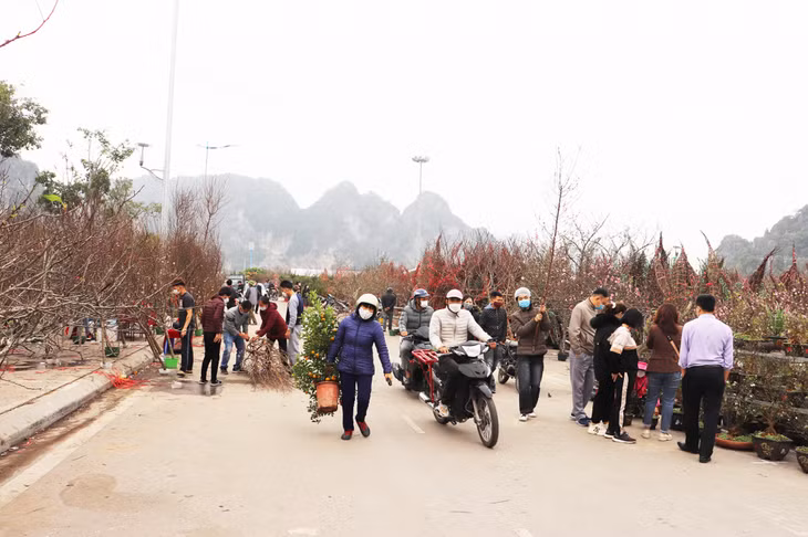 Thời điểm này, tại chợ hoa, các điểm bán hoa, cây cảnh dọc các tuyến đường... thu hút rất đông người dân tới quan tâm, lựa chọn. (Ảnh chụp tại khu vực chợ hoa, quảng trường 30/10, phường Hồng Hải, TP Hạ Long, ngày 29/1/2022).