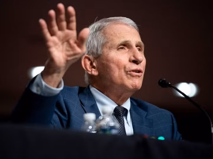 Cố vấn y tế Nhà Trắng Anthony Fauci. (Ảnh: Business Insider)