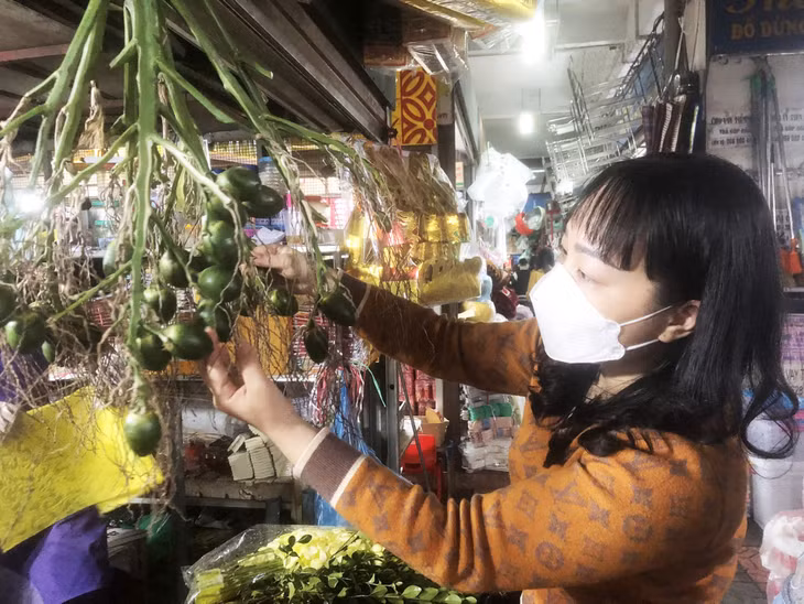 Trầu cau cúng ông Công, ông Táo cũng được người dân lựa chọn rất kỹ, chọn quả to, đẹp lá rộng.