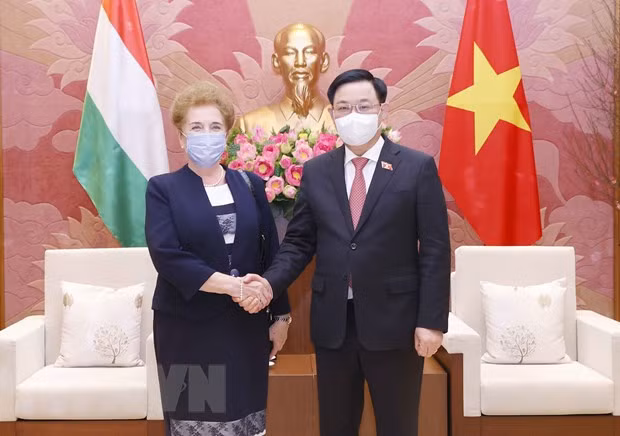 Chu tich Quoc hoi tiep Pho Chu tich thu nhat Quoc hoi Hungary hinh anh 1