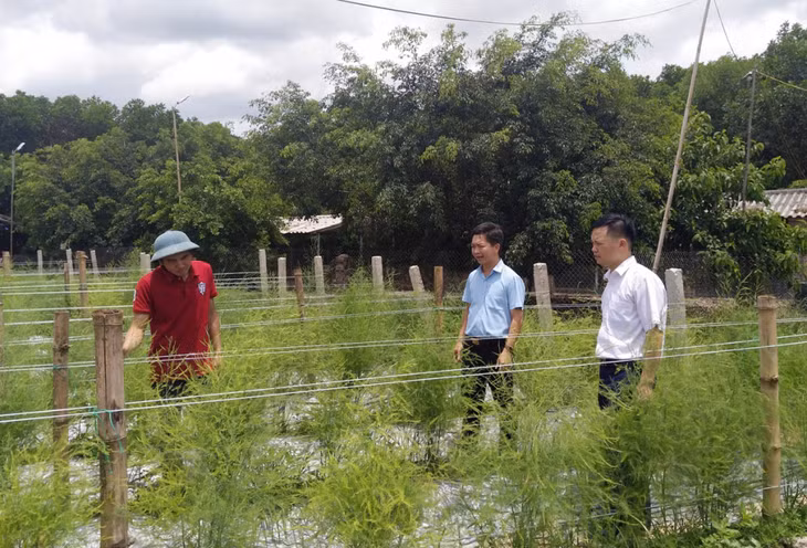 Mô hình trang trại tổng hợp của anh Trương Thế Đô đã mang lại thu nhập hàng tỷ đồng mỗi năm cho gia đình anh.